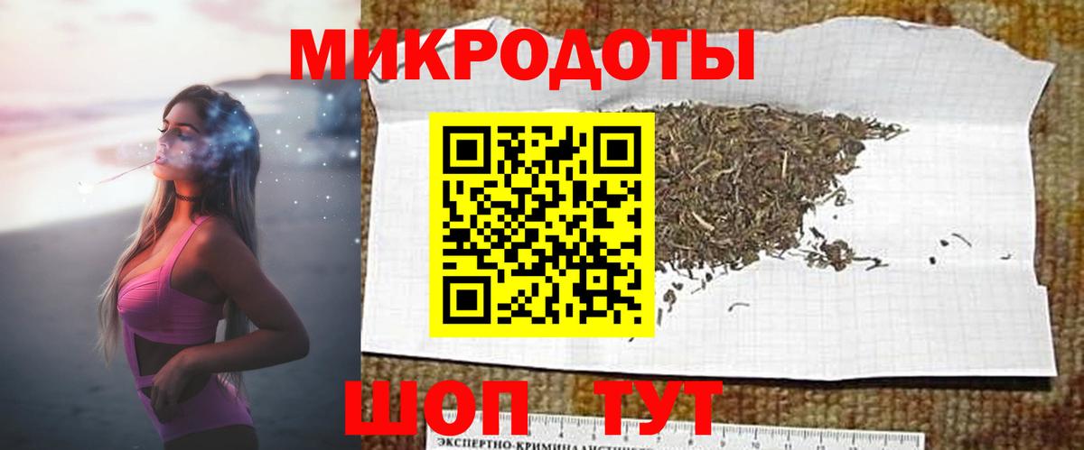 Галлюциногенные грибы Psilocybine cubensis Шебекино