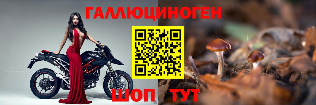 Галлюциногенные грибы GOLDEN TEACHER  Вход с VPN  Шебекино 